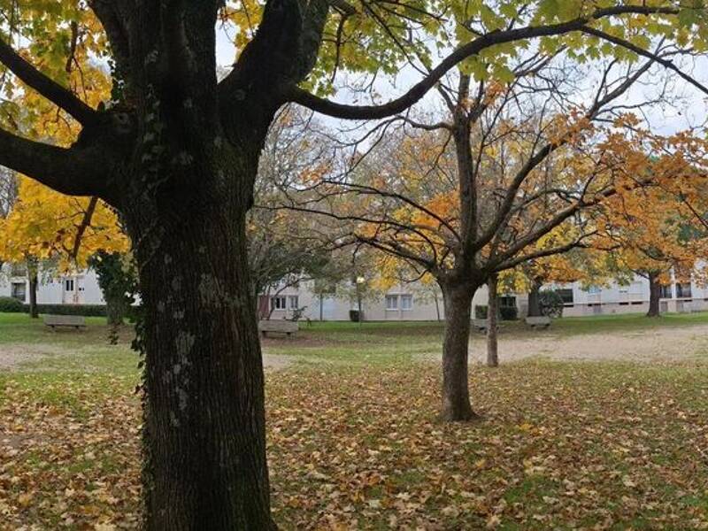 Maison à louer, 81m², BAGNOLS SUR CEZE