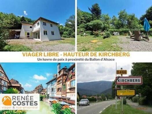 Maison en viager libre Bouquet 71 375 € 4 pièces 3 chambres 140 m² 4 943 m² de terrain Kirchberg 68290