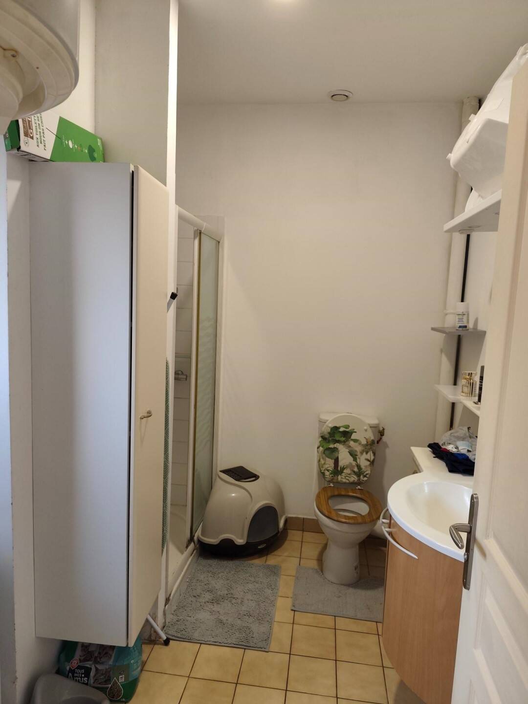 Maison à vendre, 98m², SAINTE MAURE DE TOURAINE