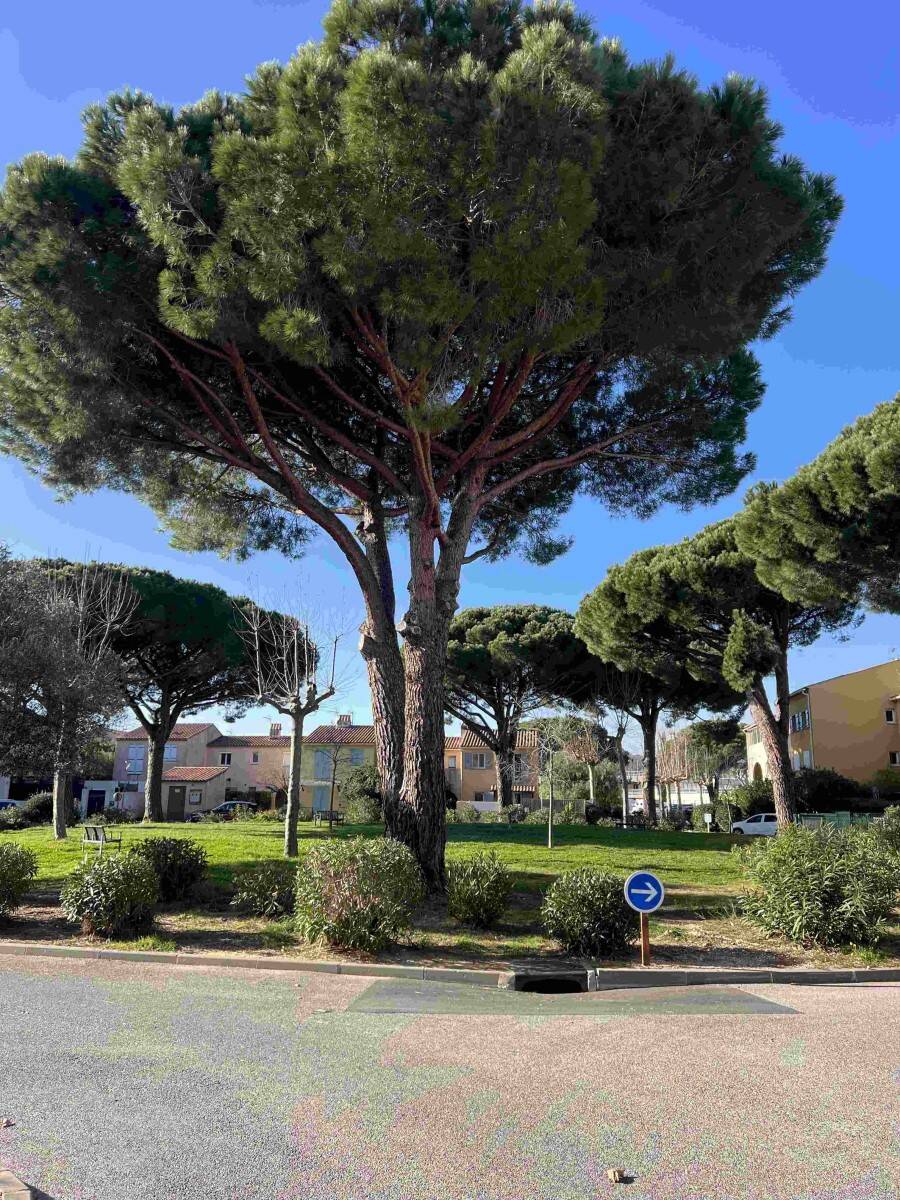 Maison à vendre, 44m², LA LONDE LES MAURES