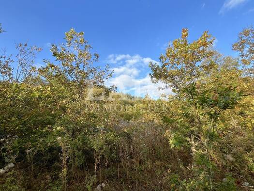 Terrain à vendre 30 600 € 22 400 m² de terrain Saint-Aquilin-de-Corbion 61380