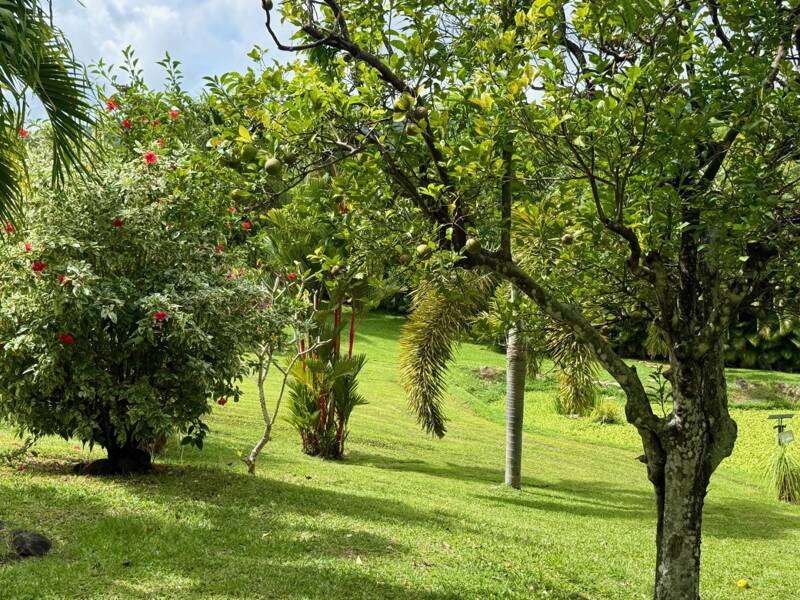 Maison à vendre, 70m², LE MARIN