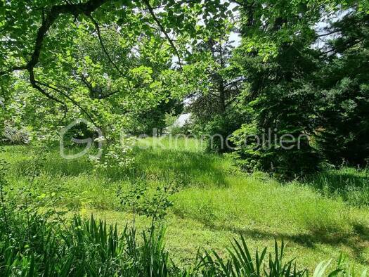 Terrain constructible à vendre 81 000 € 965 m² de terrain Cheillé 37190