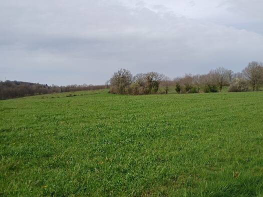 Terrain champêtre/forestier à vendre 138 700 € 181 044 m² de terrain Les Cars 87230