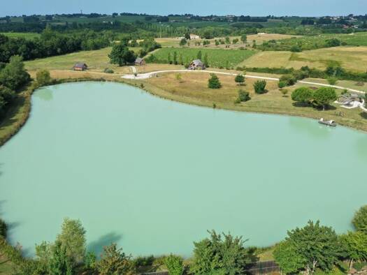 Villa à vendre 936 000 € 11 pièces 6 chambres 260 m² 65 000 m² de terrain Berson 33390