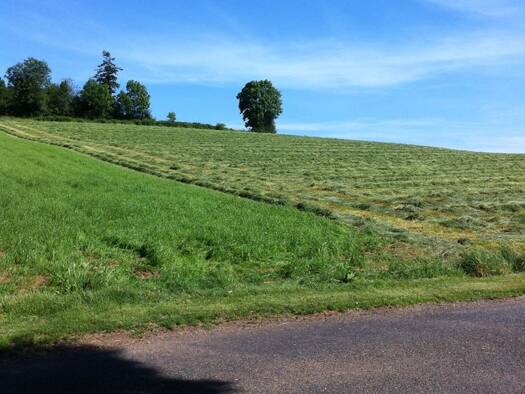 Terrain constructible à vendre 40 000 € 5 792 m² de terrain Le Fraysse 81430