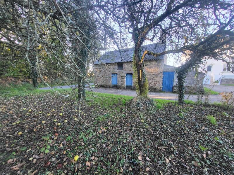 Maison à vendre, 85m², RIEC SUR BELON