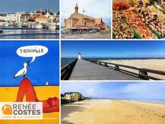 Appartement en viager occupé Bouquet 62 226 € 2 pièces 2 chambres 49 m² Étage 3/7 Hennequeville-Zone Callenville Trouville-sur-Mer 14360