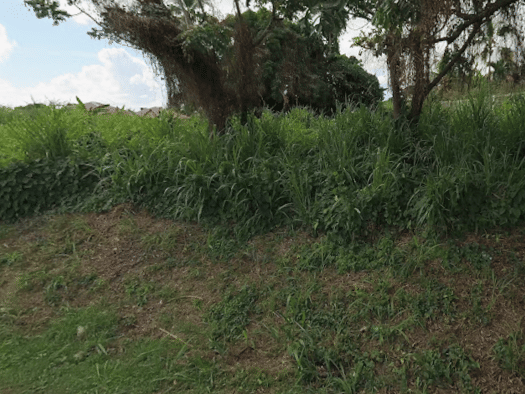 Terrain constructible à vendre 165 000 € 968 m² de terrain Goyave 97128