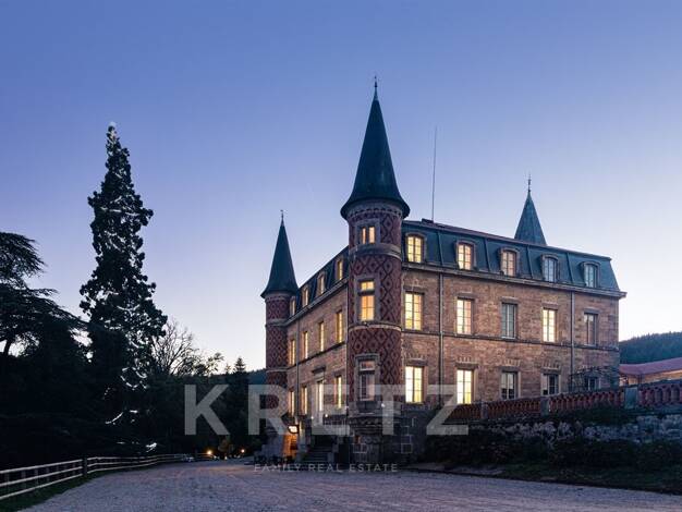 Château à vendre 5 990 000 € 40 pièces 30 chambres 4 500 m² 150 000 m² de terrain Marols 42560