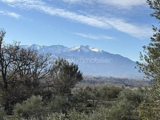 Terrain à vendre 13 000 € 6 140 m² de terrain Néfiach 66170