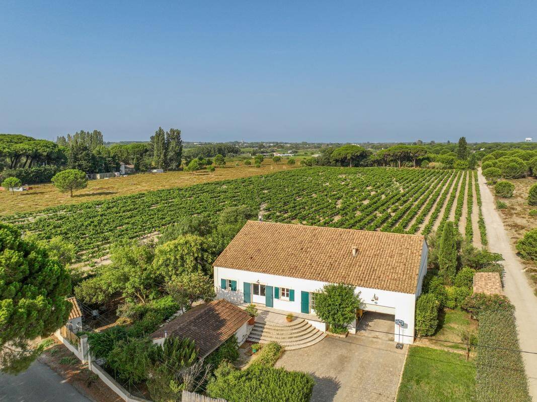 Maison à vendre, 214m², SAINT LAURENT D'AIGOUZE