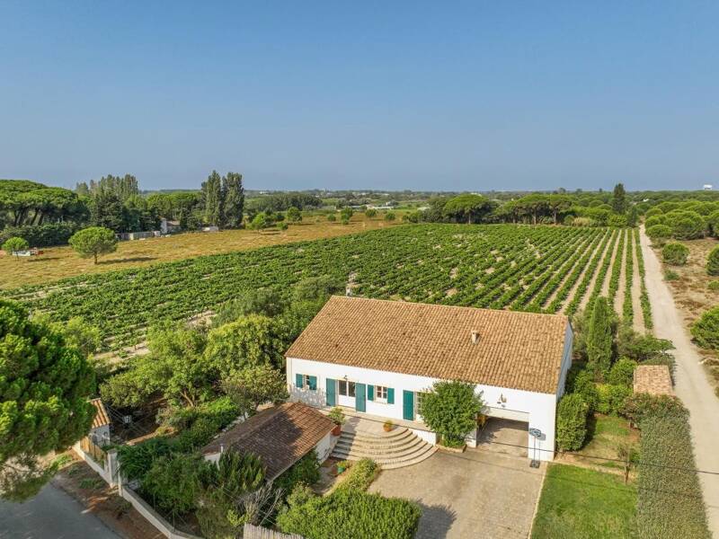 Maison à vendre, 214m², SAINT LAURENT D'AIGOUZE