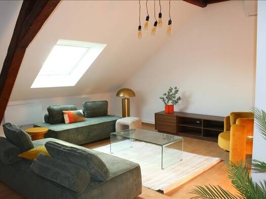 Appartement à louer 1 450 € 3 pièces 2 chambres 62 m² 3ème étage Centre Sud Ouest Saint-Louis 68300