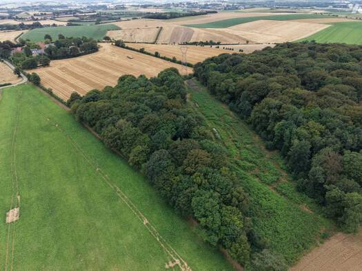 Terrain à vendre 44 000 € 12 410 m² de terrain Hermelinghen 62132