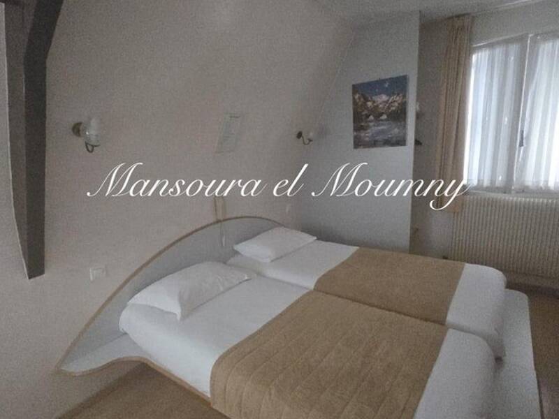 Maison à vendre, 600m², TOURS