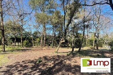 Terrain constructible à vendre 163 500 € 239 m² de terrain Bretignolles-sur-Mer 85470
