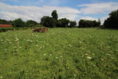 Terrain constructible à vendre 42 090 € 576 m² de terrain Nord Divion 62460