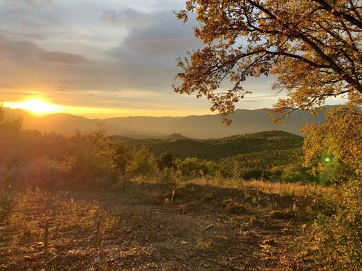 Terrain à vendre 104 000 € 79 000 m² de terrain Oms 66400