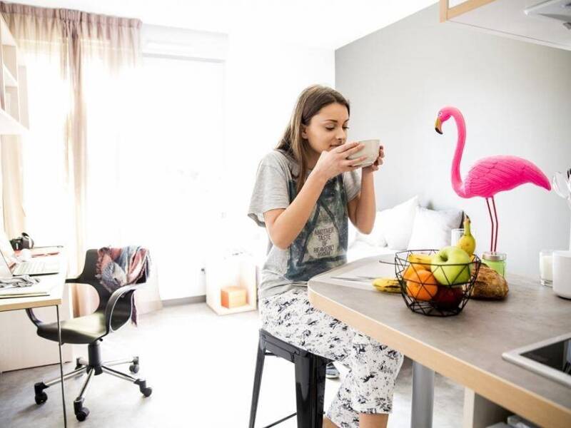 Maison à louer, 17m², BREST