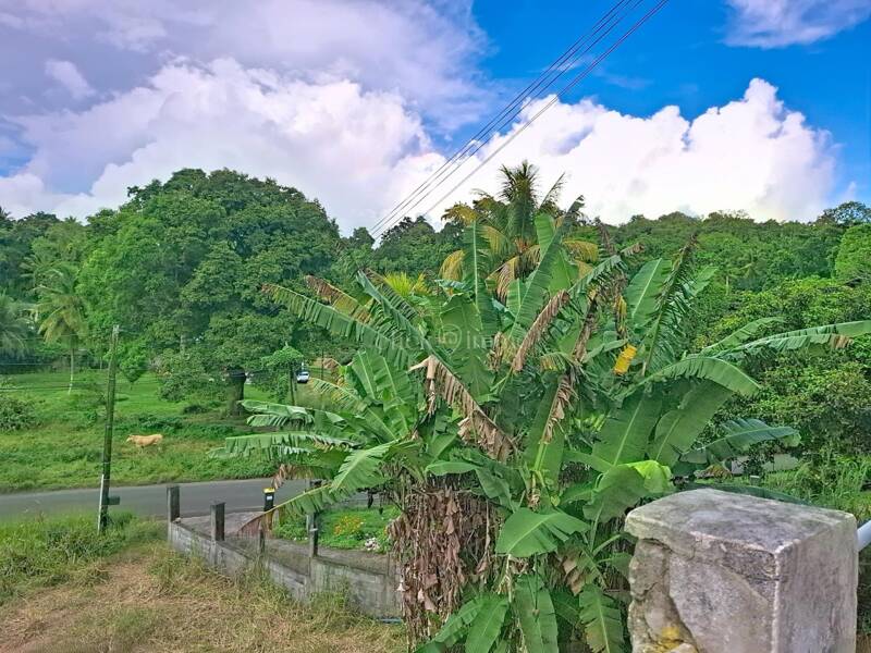 Maison à louer, 34m², LES ABYMES