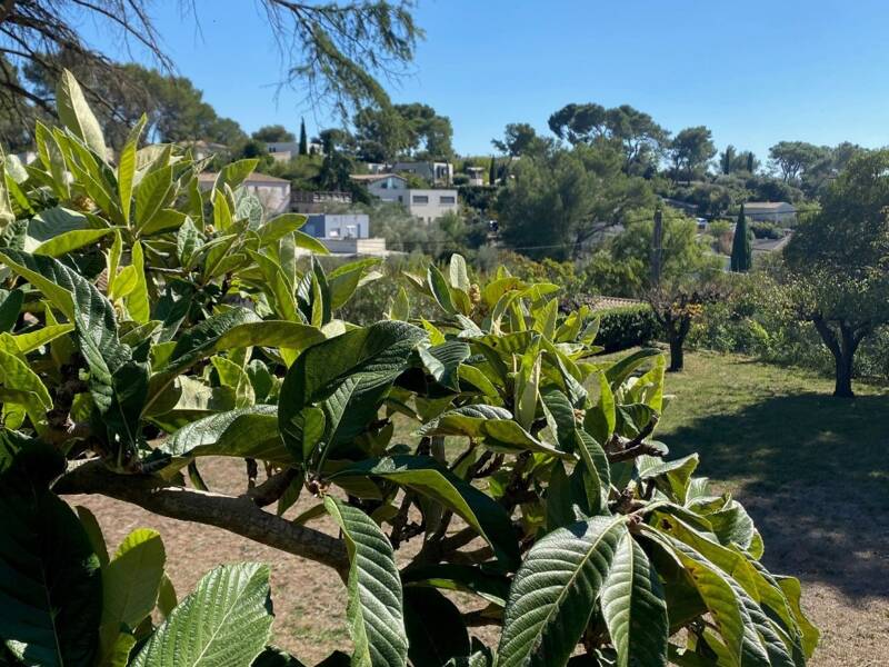 Maison à vendre, 288m², NIMES