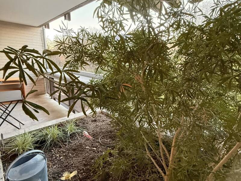 Maison à louer, 36m², GRENOBLE