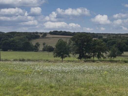 Terrain constructible à vendre 20 000 € 2 121 m² de terrain Molinet 03510