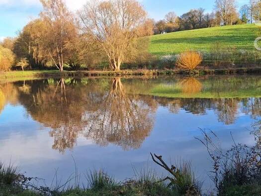 Terrain à vendre 29 500 € 6 620 m² de terrain Boursay 41270