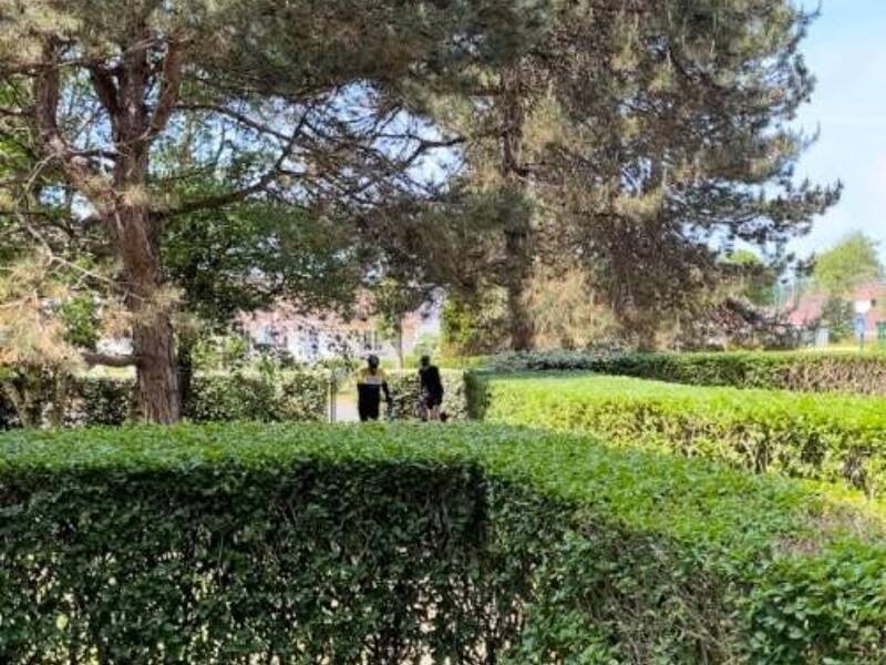 Maison à louer, 35m², CUCQ