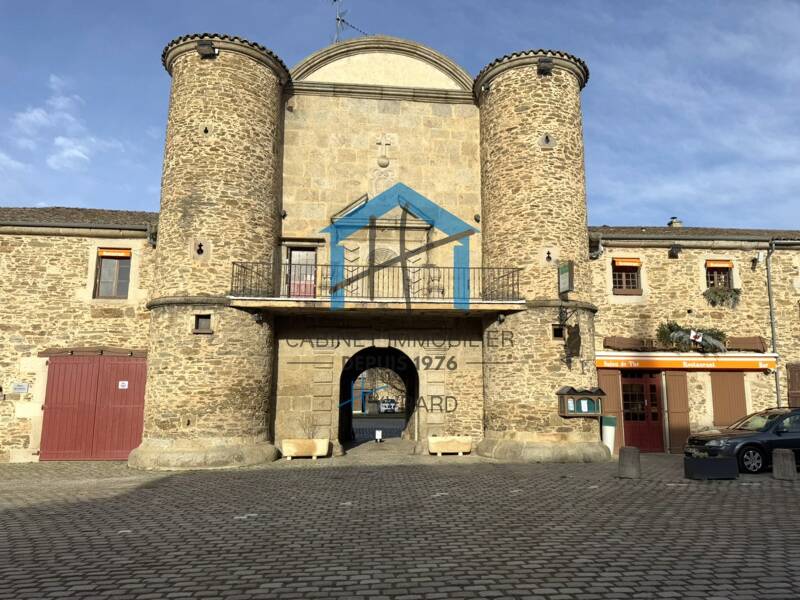 Maison à vendre, 384m², SAINTE CROIX EN JAREZ