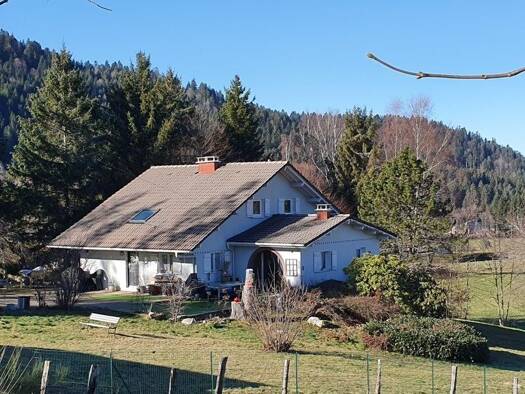 Chalet à vendre 610 000 € 9 pièces 5 chambres 188 m² 4 001 m² de terrain Gérardmer 88400