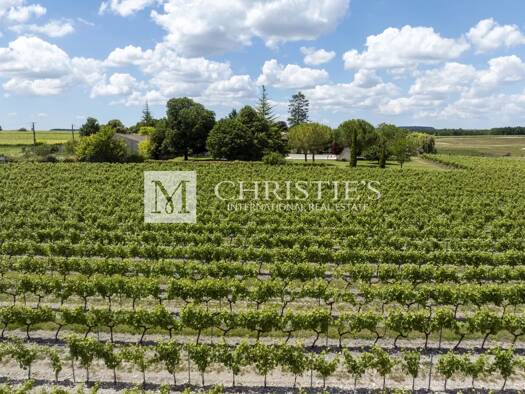Vignoble à vendre 4 187 000 € 225 m² 549 000 m² de terrain Cognac 16100