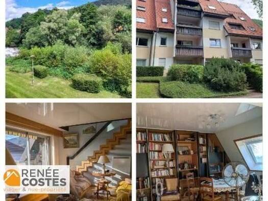 Duplex en viager occupé Bouquet 36 150 € 3 pièces 2 chambres 108 m² Étage 4/4 Nord Est Thann 68800