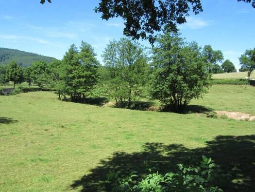 Terrain constructible à vendre 221 000 € 1 042 m² de terrain Vindry-sur-Turdine 69490