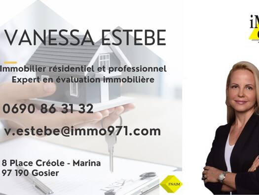 Local commercial à louer 8 309 € 270 m² de surface de vente Les Abymes 97139