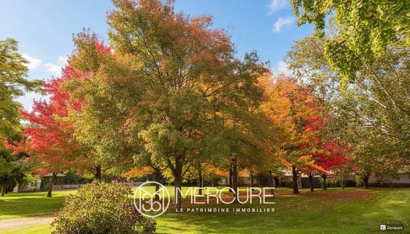 Maison à vendre, 325m², ROMANECHE THORINS