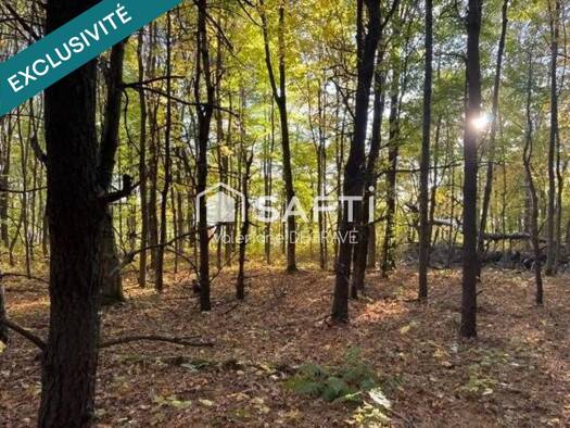 Propriété de loisirs à vendre 3 500 € 1 215 m² de terrain Bouvigny-Boyeffles 62172