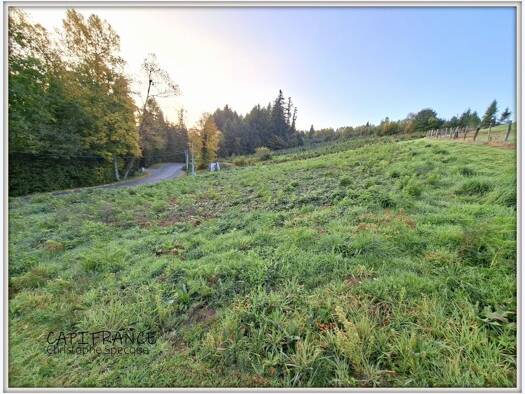 Terrain constructible viabilisé à vendre 24 000 € 1 520 m² de terrain Celles-sur-Durolle 63250