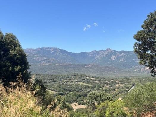 Terrain à vendre 376 400 € 8 400 m² de terrain Figari 20114