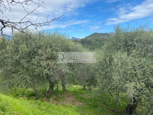 Terrain constructible viabilisé à vendre 184 000 € 11 150 m² de terrain St Blaise 06670