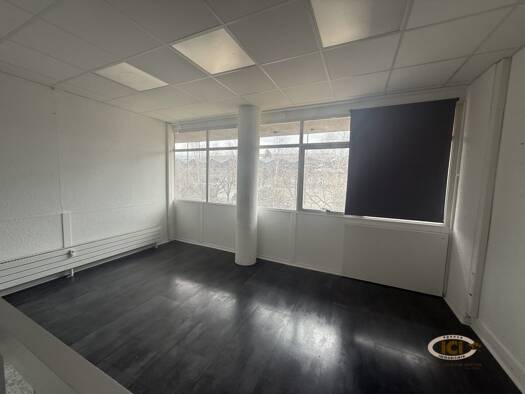 Local commercial à louer 1 380 € 48 m² de surface de vente Annemasse 74100