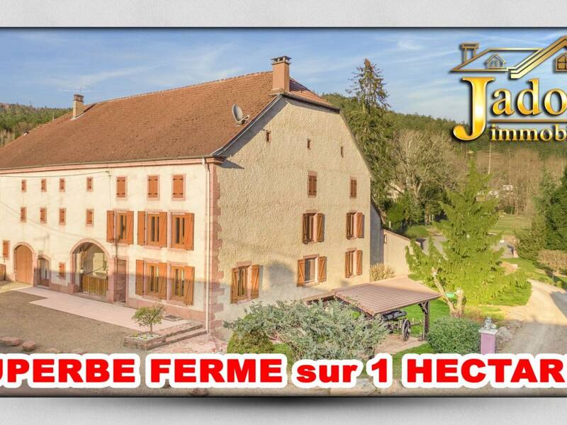 Maison à vendre, 192m², MOYENMOUTIER