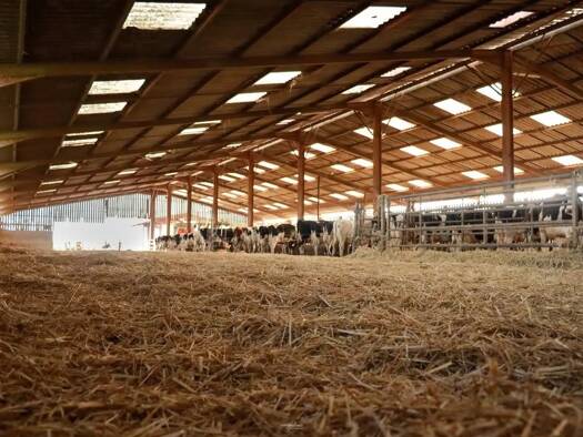 Maison à vendre 1 900 000 € Fresnes-en-Woëvre 55160