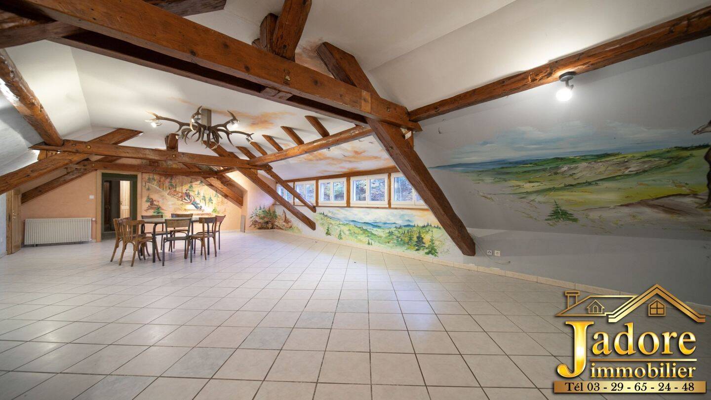 Maison à vendre, 630m², SAINTE MARIE AUX MINES