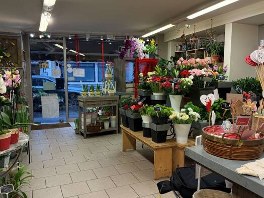 Fleuriste à vendre Fonds de commerce 82 000 € 3 pièces 70 m² de surface de vente Saint Clément-Jardin des Plantes-Grammont Rouen 76100