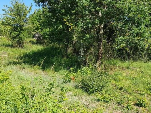 Terrain à vendre 48 300 € 6 577 m² de terrain Saint-Loup 41320