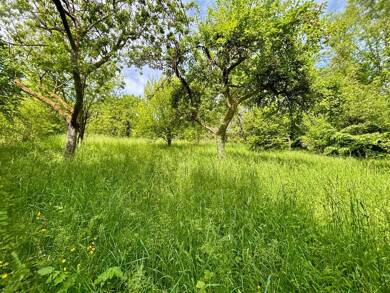 Terrain viabilisé à vendre 195 000 € 1 498 m² de terrain Village-Haut de Penoy-Les Cheminots Vandoeuvre-Lès-Nancy 54500