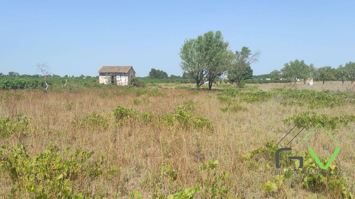 Maison à vendre, 0m², GALLARGUES LE MONTUEUX