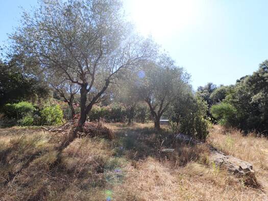Terrain constructible à vendre 179 000 € 564 m² de terrain Boisseron 34160